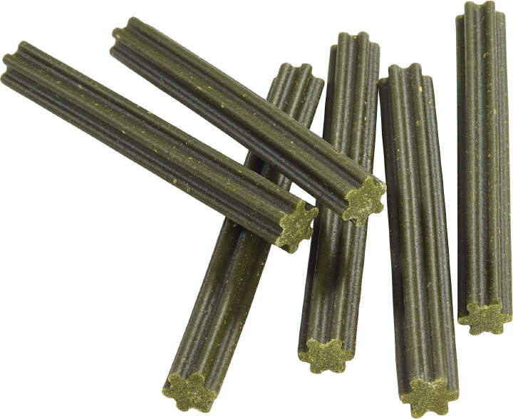 BUFFO Hundeleckerlis Dental-Sticks Eukalyptus